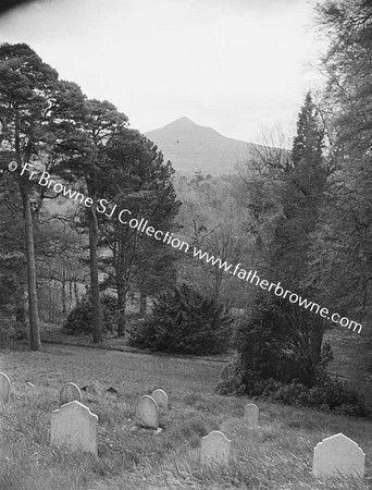 POWERSCOURT GROUNDS SUGARLOAF